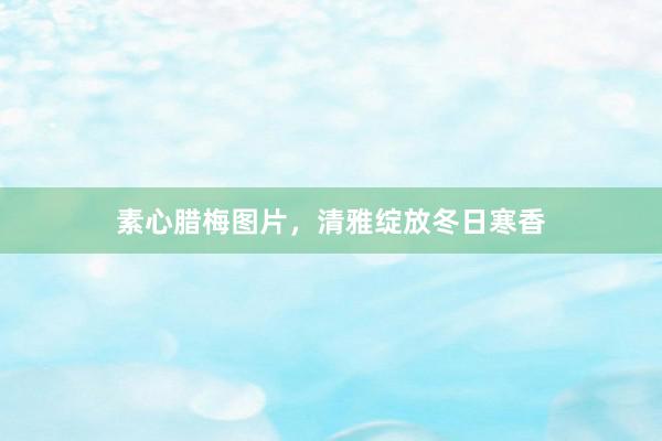 素心腊梅图片，清雅绽放冬日寒香